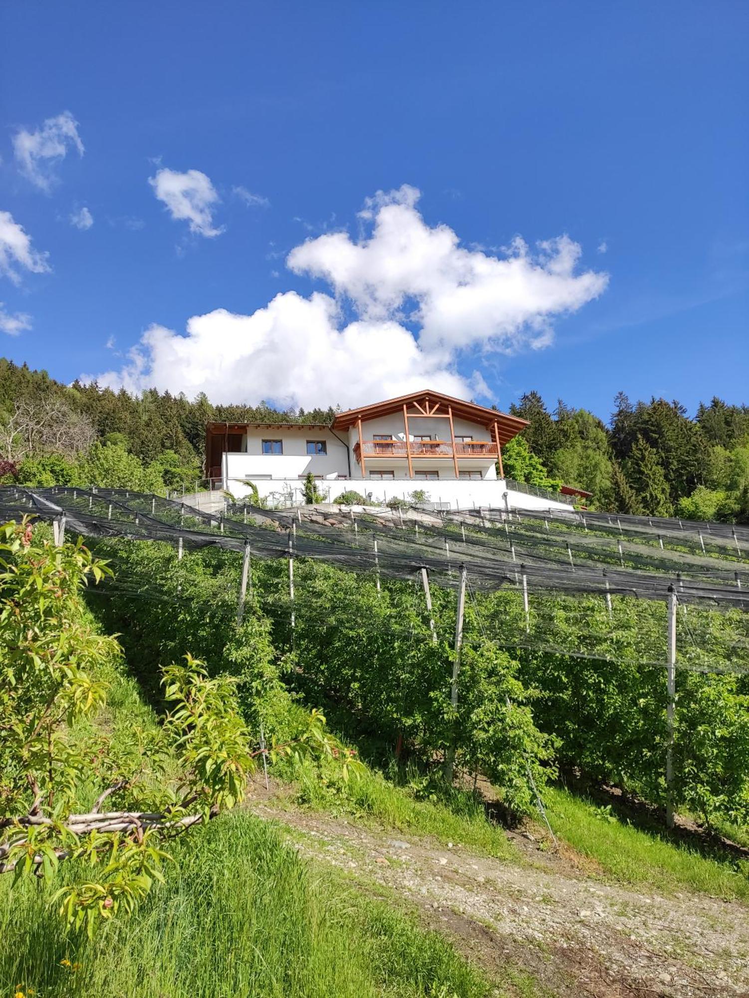 Pruensterhof Schenna Apartment Exterior photo